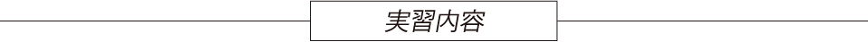 実習内容